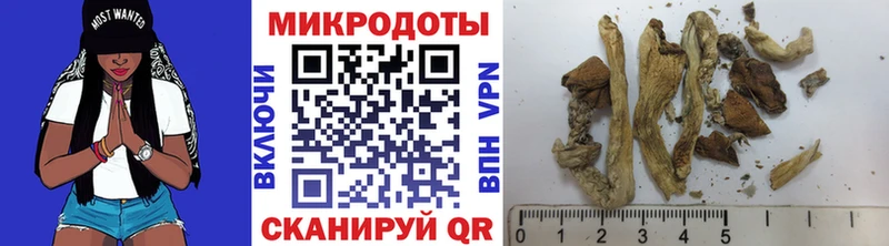Купить где  Урюпинск  Галлюциногенные грибы Magic Shrooms 